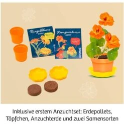 KOSMOS Blütenpresse, Experimentierkasten 8 KOSMOS Blütenpresse, Experimentierkasten -Online Kinderspielzeug KOSMOS Bl tenpresse Experimentierkasten@@1904786 3