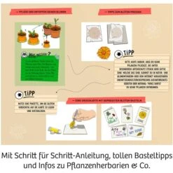 KOSMOS Blütenpresse, Experimentierkasten 9 KOSMOS Blütenpresse, Experimentierkasten -Online Kinderspielzeug KOSMOS Bl tenpresse Experimentierkasten@@1904786 4