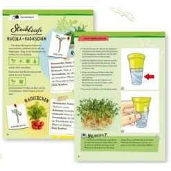 KOSMOS Microgreen-Garten, Experimentierkasten 8 KOSMOS Microgreen-Garten, Experimentierkasten -Online Kinderspielzeug KOSMOS Microgreen Garten Experimentierkasten@@1849248 2