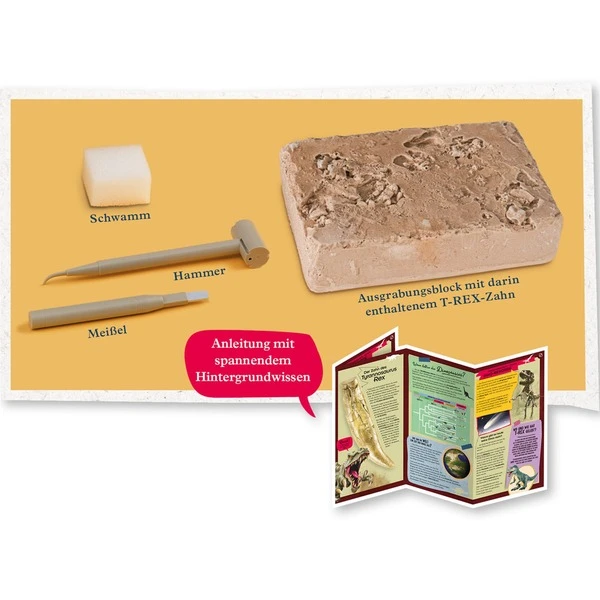 KOSMOS T-Rex Zahn, Experimentierkasten 3 KOSMOS T-Rex Zahn, Experimentierkasten – Bild 3