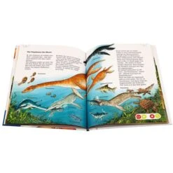 Ravensburger Tiptoi Expedition Wissen: Dinosaurier, Lernbuch 7 Ravensburger Tiptoi Expedition Wissen: Dinosaurier, Lernbuch -Online Kinderspielzeug Ravensburger tiptoi Expedition Wissen Dinosaurier Lernbuch@@1876183 3